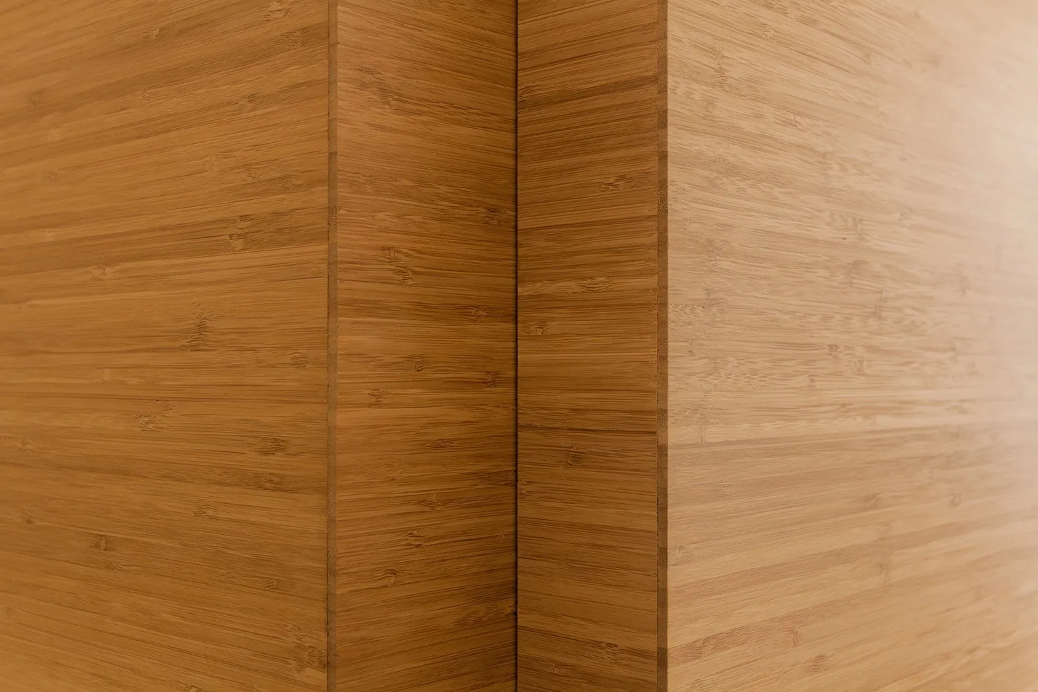 Detalle portada. - Salon de Reinos | Galería de arquitectura Handmade Architecture