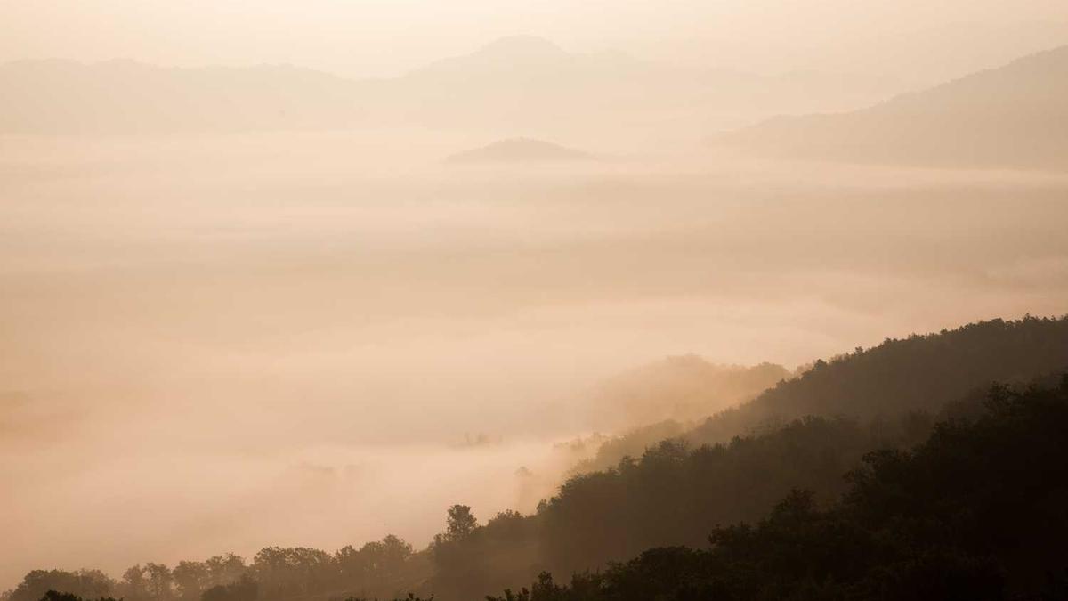Community Center Revitalization