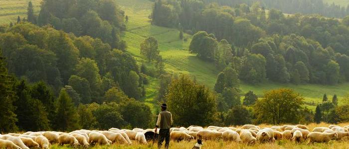 Art and Craft Studios