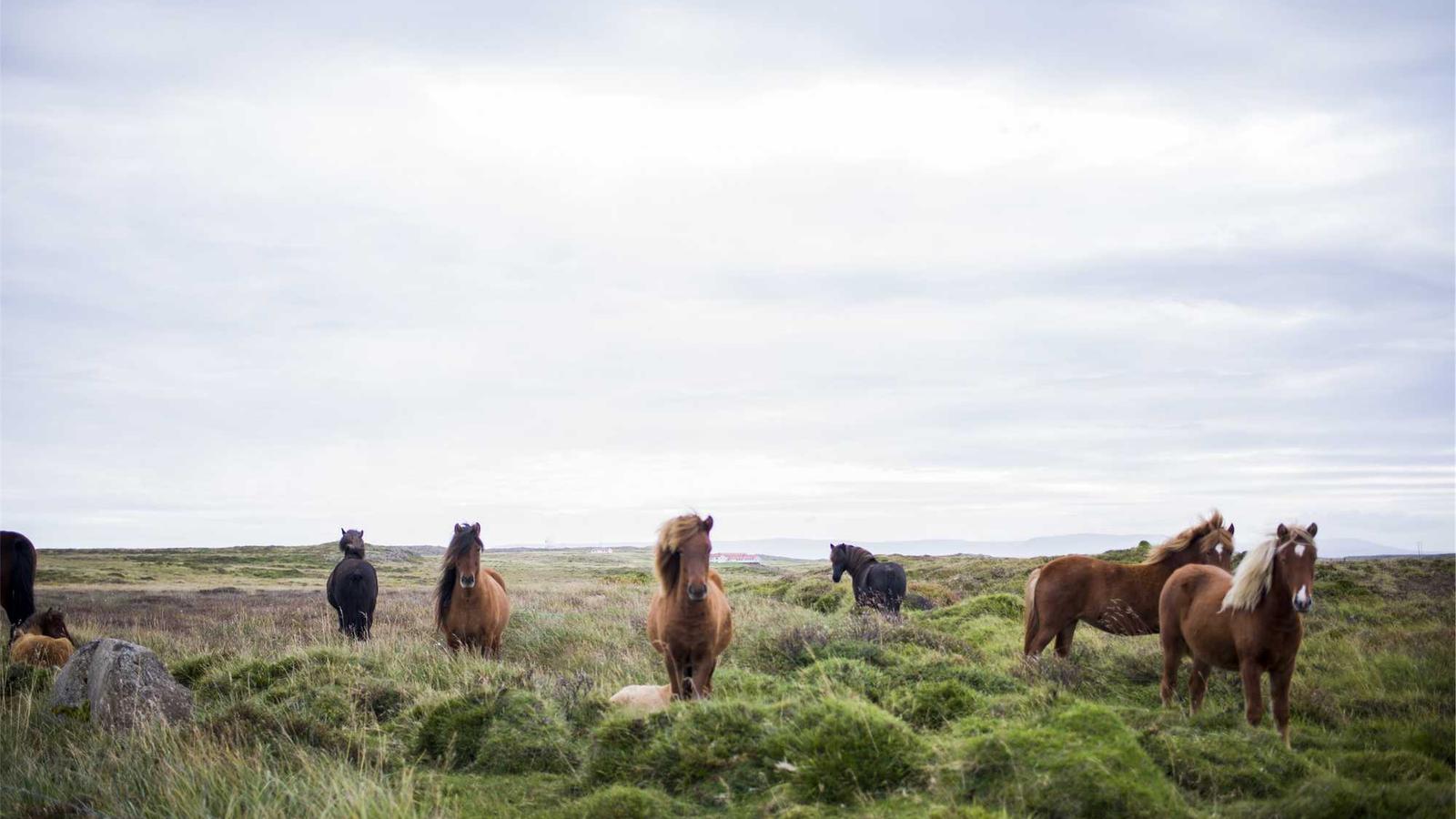Product Display Areas