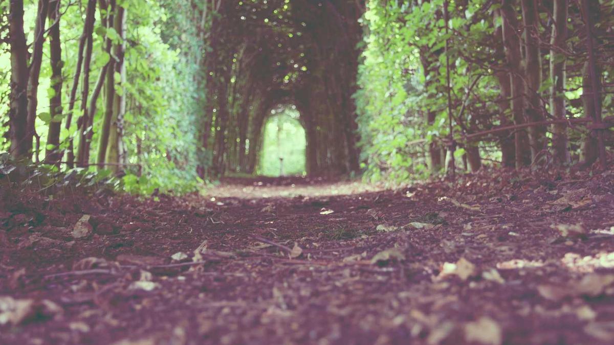 Luxury Apartment Interiors