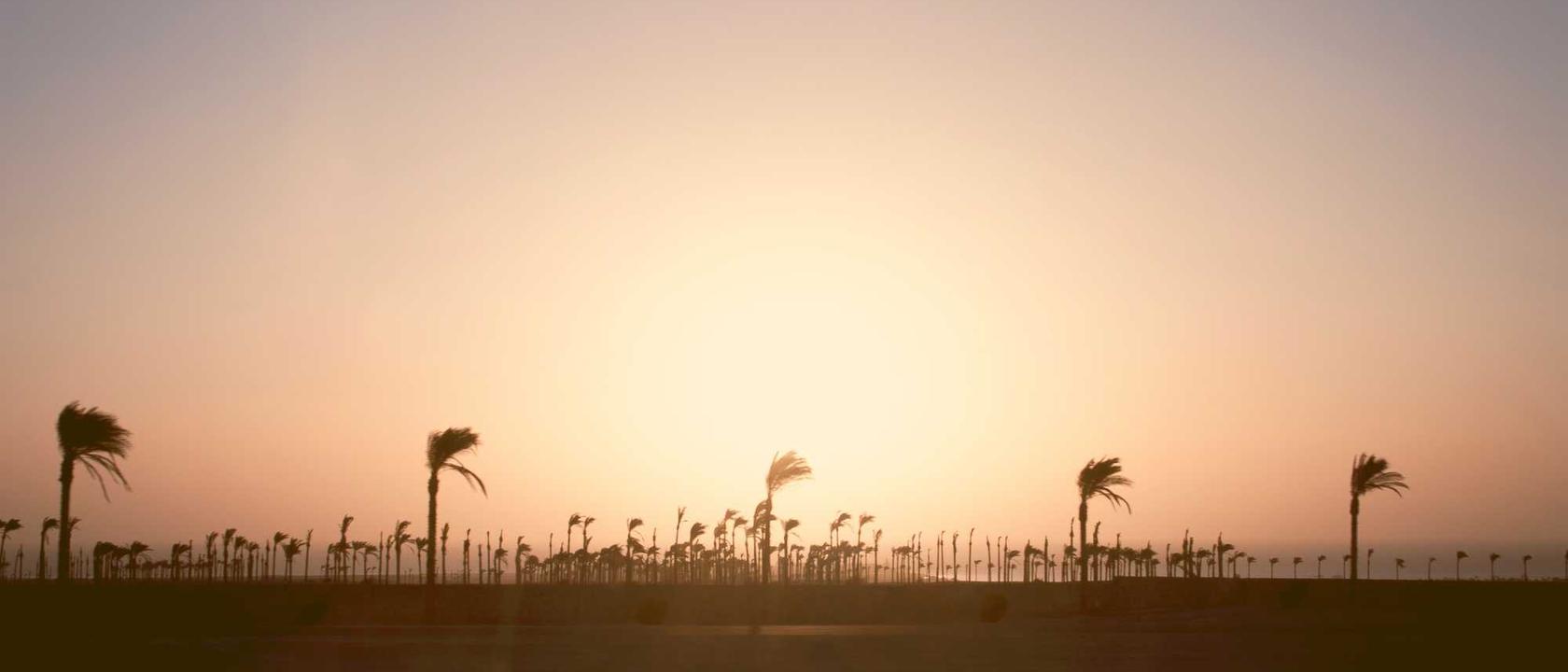 Mountain View Terrace